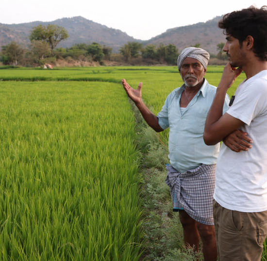 ChatGPT Image Jan 14, 2026, 06_35_35 PM