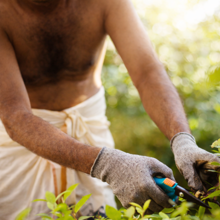 ChatGPT Image Jan 19, 2026, 11_59_33 AM